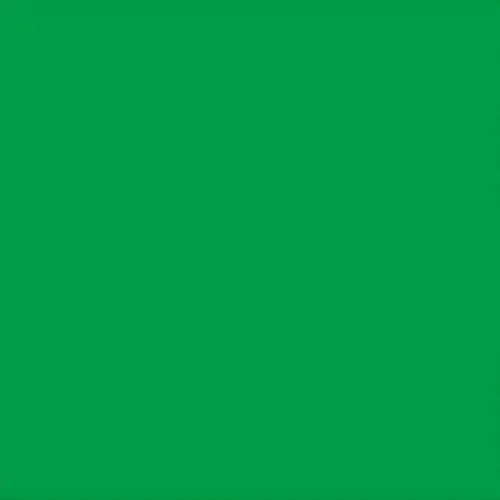 Animated LuLu promotion template loop in brand green